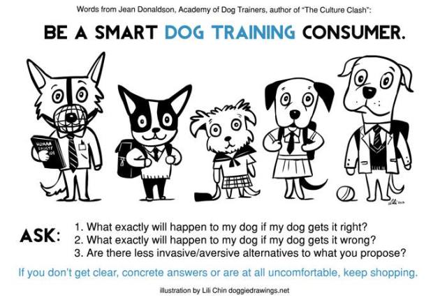 Smart dog training